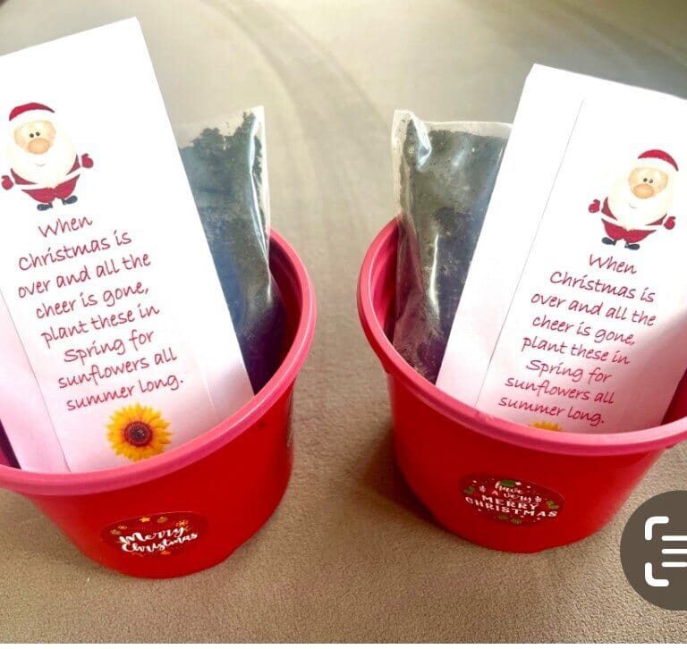 Beth's Sunflowers Childrens Stocking Filler 2