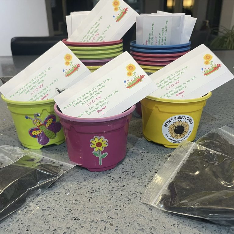 Sunflower Pots Parties Beths Sunflowers