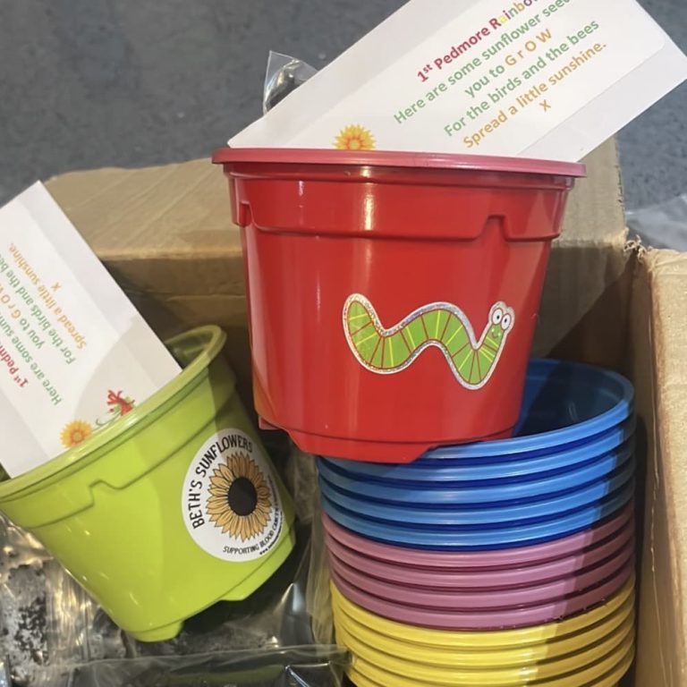 Sunflower Pots RainbowsBrownies Copy