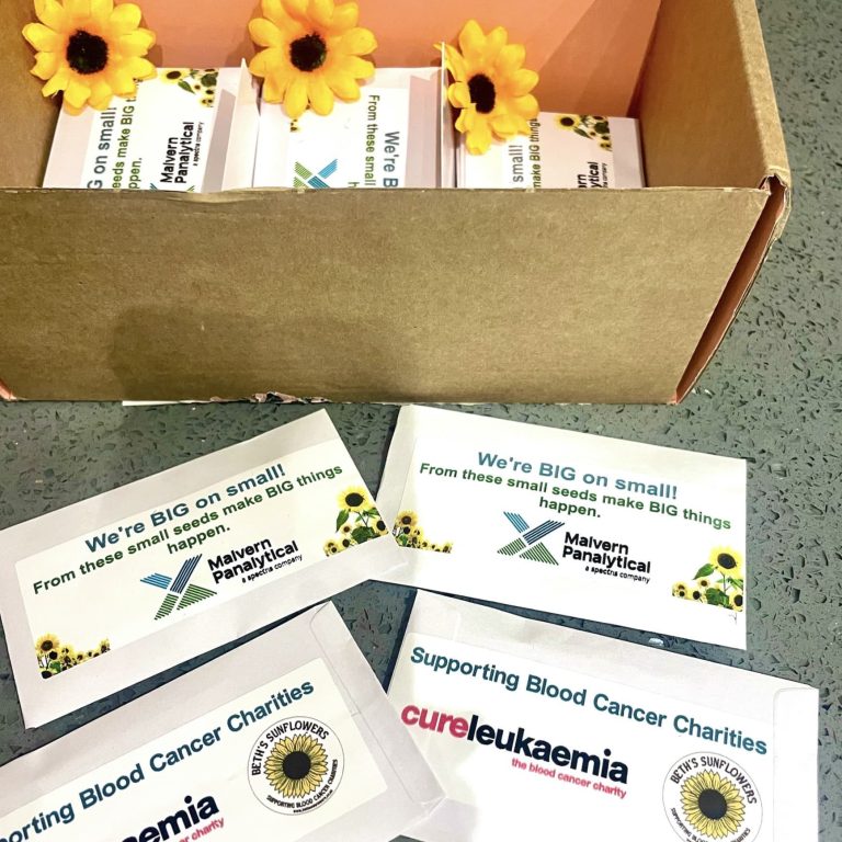 Sunflower Seeds Businesses Copy