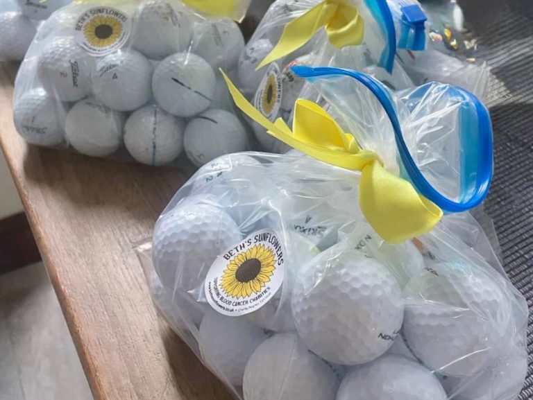 Balls to Blood Cancer Beths Sunflowers