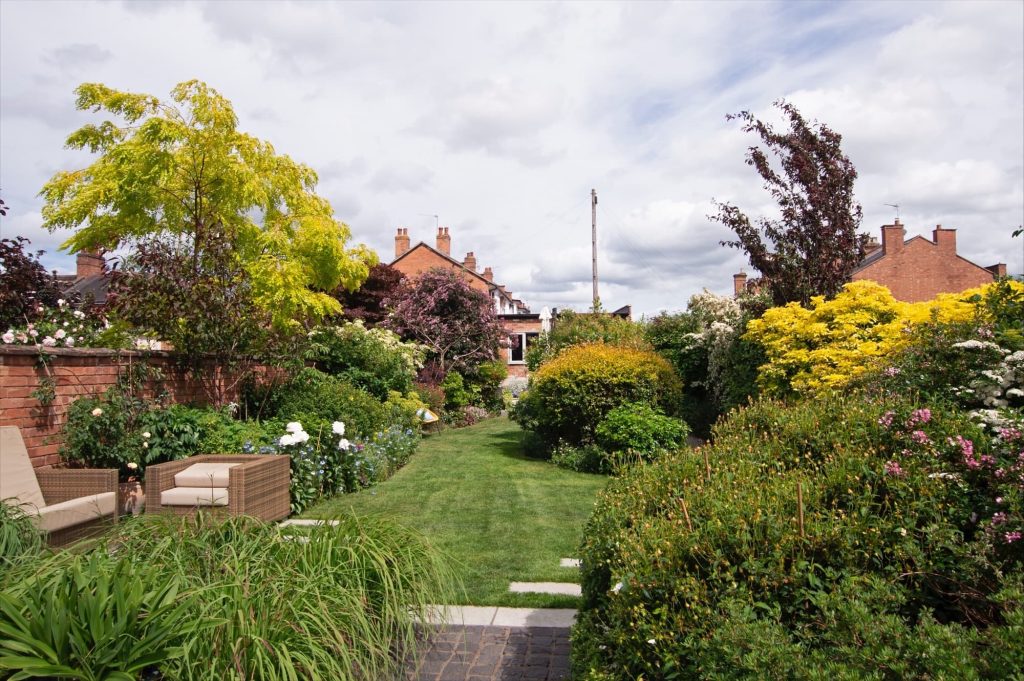 Open Gardens and Plant sales Beths Sunflowers