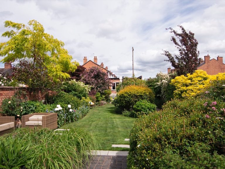 Open Gardens and Plant sales Beths Sunflowers
